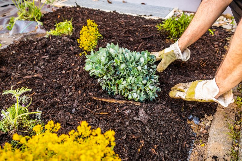 Mulch Installation in Honolulu, HI